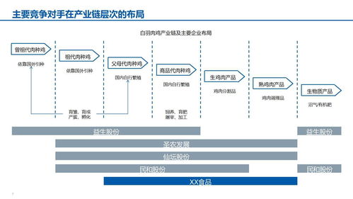智能驅動，創新增長——XX食品智能制造與銷售維護一體化發展報告