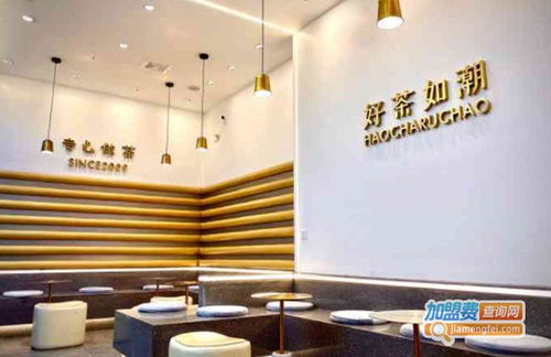 萬(wàn)物潮茶 品牌形象全覽與加盟指南